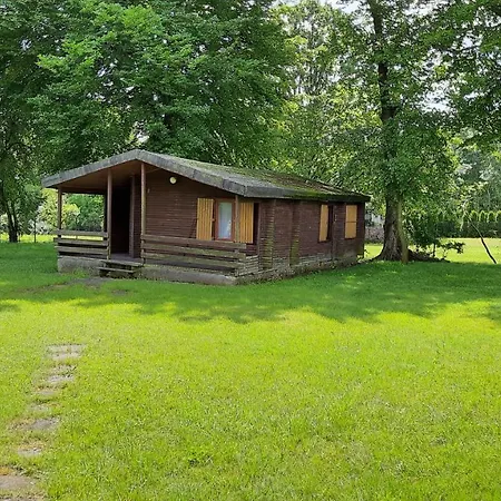 Integracyjne Centrum Opieki Wychowania Terapii セロツク