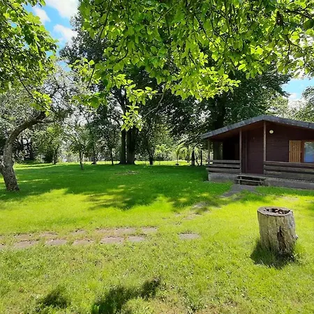 Integracyjne Centrum Opieki Wychowania Terapii *