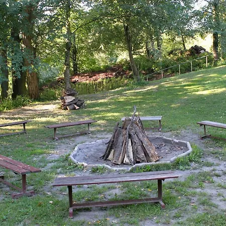 Integracyjne Centrum Opieki Wychowania Terapii セロツク