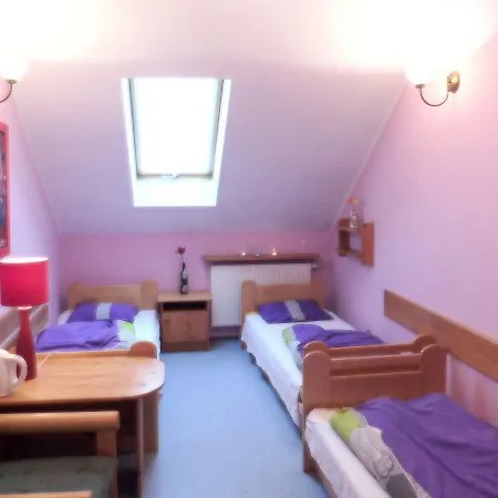 Integracyjne Centrum Opieki Wychowania Terapii * セロツク